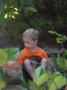 Lochie